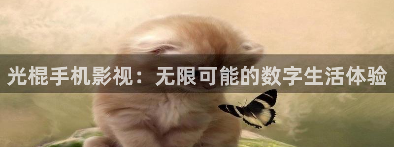 被窝电影网电影院