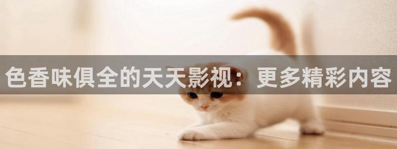 被窝电影网被窝电影院好电视在线观看